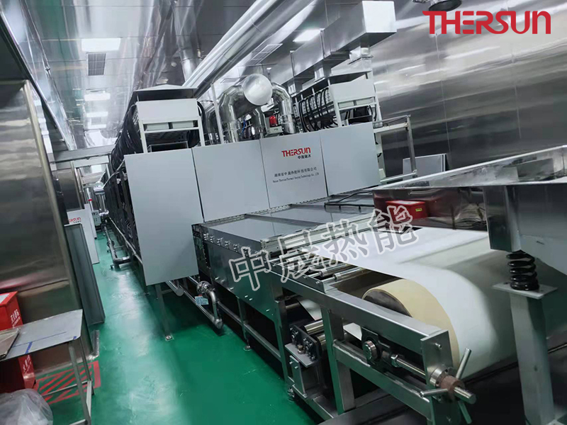 RWDF microwave/hot-air low temperature conveyor dryer